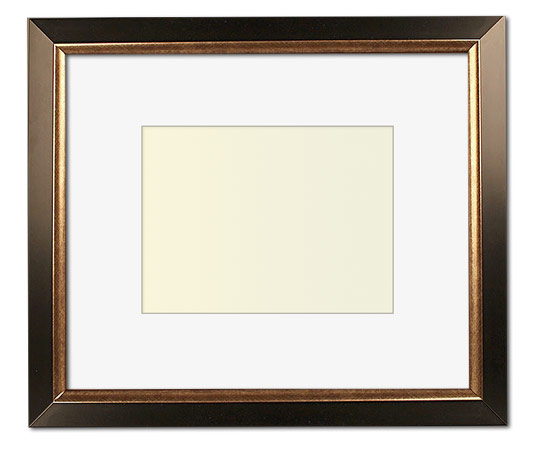 The Christenberry - Regular Plexi - Looking for picture frames worthy of framing your newest Irving Penn photograph? Our contemporary-style picture frames from FrameStoreDirect draw elements from the modernism movement of the mid-20th century. Clean lines and sleek materials are the basis for these fresh, chic, and en vogue frames.