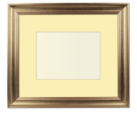The Pollack - Regular Plexi - Transitional style is a marriage of traditional and modern finishes, materials and fabrics. The result is an elegant, enduring design that is both comfortable and classic. Through its simple lines, neutral color scheme, and use of light and warmth, transitional style joins the best of both the traditional and modern worlds.