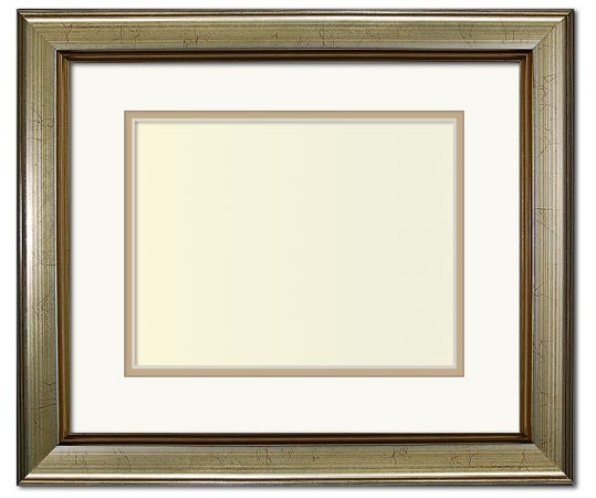 Kuhn Transitional Custom Picture Frame