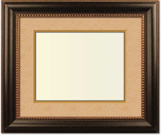 Matisse Traditional Custom Picture Frame