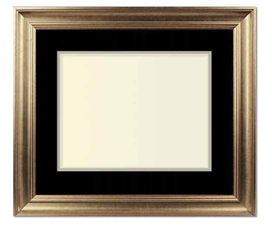 Pollack Transitional Custom Picture Frame