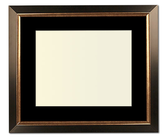 The Christenberry - Regular Plexi - Looking for picture frames worthy of framing your newest Irving Penn photograph? Our contemporary-style picture frames from FrameStoreDirect draw elements from the modernism movement of the mid-20th century. Clean lines and sleek materials are the basis for these fresh, chic, and en vogue frames.