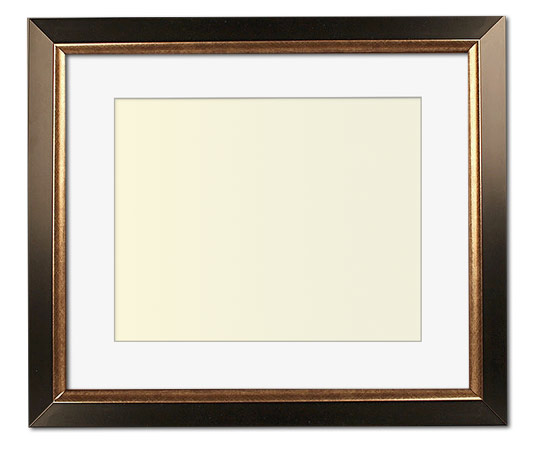 The Christenberry - Regular Plexi - Looking for picture frames worthy of framing your newest Irving Penn photograph? Our contemporary-style picture frames from FrameStoreDirect draw elements from the modernism movement of the mid-20th century. Clean lines and sleek materials are the basis for these fresh, chic, and en vogue frames.