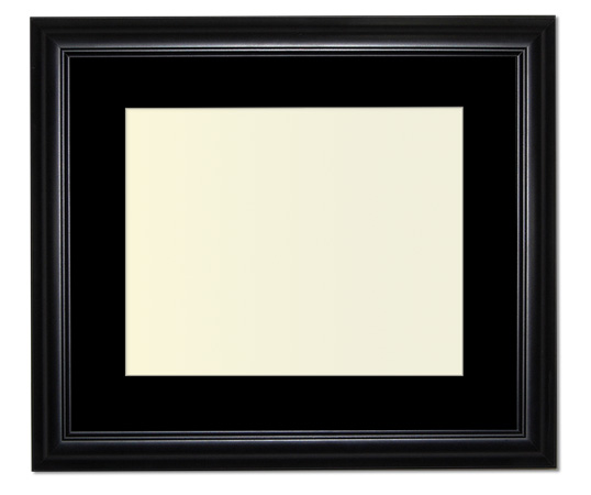 The Eggleston - Regular Plexi - Looking for picture frames worthy of framing your newest Irving Penn photograph? Our contemporary-style picture frames from FrameStoreDirect draw elements from the modernism movement of the mid-20th century. Clean lines and sleek materials are the basis for these fresh, chic, and en vogue frames.
