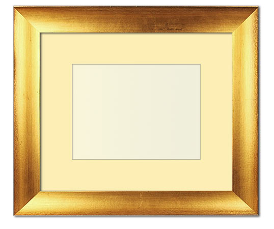 The Jackson - Regular Plexi - Looking for picture frames worthy of framing your newest Irving Penn photograph? Our contemporary-style picture frames from FrameStoreDirect draw elements from the modernism movement of the mid-20th century. Clean lines and sleek materials are the basis for these fresh, chic, and en vogue frames.