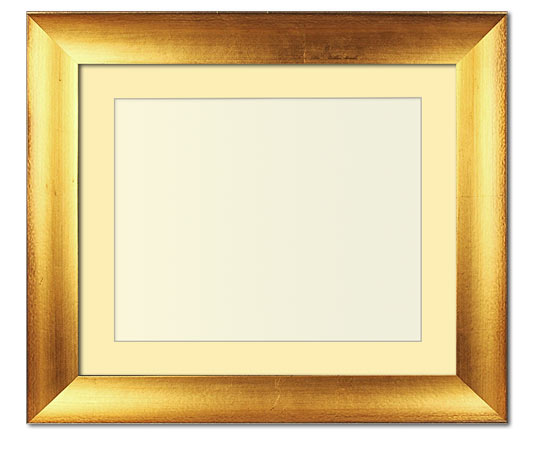 The Jackson - Regular Plexi - Looking for picture frames worthy of framing your newest Irving Penn photograph? Our contemporary-style picture frames from FrameStoreDirect draw elements from the modernism movement of the mid-20th century. Clean lines and sleek materials are the basis for these fresh, chic, and en vogue frames.