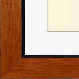 The Mapplethorpe - Regular Plexi - Looking for picture frames worthy of framing your newest Irving Penn photograph? Our contemporary-style picture frames from FrameStoreDirect draw elements from the modernism movement of the mid-20th century. Clean lines and sleek materials are the basis for these fresh, chic, and en vogue frames.