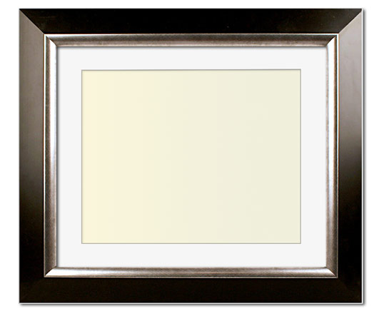 The Penn - Regular Plexi - Looking for picture frames worthy of framing your newest Irving Penn photograph? Our contemporary-style picture frames from FrameStoreDirect draw elements from the modernism movement of the mid-20th century. Clean lines and sleek materials are the basis for these fresh, chic, and en vogue frames.