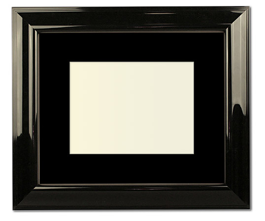 The Salgado - Regular Plexi - Looking for picture frames worthy of framing your newest Irving Penn photograph? Our contemporary-style picture frames from FrameStoreDirect draw elements from the modernism movement of the mid-20th century. Clean lines and sleek materials are the basis for these fresh, chic, and en vogue frames.