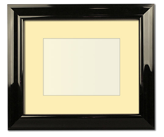 The Salgado - Regular Plexi - Looking for picture frames worthy of framing your newest Irving Penn photograph? Our contemporary-style picture frames from FrameStoreDirect draw elements from the modernism movement of the mid-20th century. Clean lines and sleek materials are the basis for these fresh, chic, and en vogue frames.