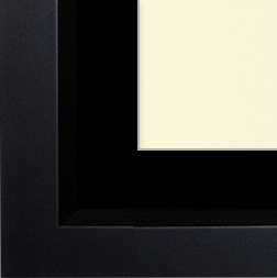 The Winogrand - Regular Plexi - Looking for picture frames worthy of framing your newest Irving Penn photograph? Our contemporary-style picture frames from FrameStoreDirect draw elements from the modernism movement of the mid-20th century. Clean lines and sleek materials are the basis for these fresh, chic, and en vogue frames.