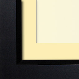 The Winogrand - Regular Plexi - Looking for picture frames worthy of framing your newest Irving Penn photograph? Our contemporary-style picture frames from FrameStoreDirect draw elements from the modernism movement of the mid-20th century. Clean lines and sleek materials are the basis for these fresh, chic, and en vogue frames.