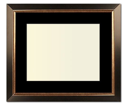 The Christenberry IV - UV Plexi - Looking for picture frames worthy of framing your newest Irving Penn photograph? Our contemporary-style picture frames from FrameStoreDirect draw elements from the modernism movement of the mid-20th century. Clean lines and sleek materials are the basis for these fresh, chic, and en vogue frames.
