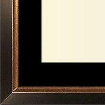 The Christenberry IV - Regular Plexi - Looking for picture frames worthy of framing your newest Irving Penn photograph? Our contemporary-style picture frames from FrameStoreDirect draw elements from the modernism movement of the mid-20th century. Clean lines and sleek materials are the basis for these fresh, chic, and en vogue frames.