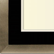 The Davis I - Museum Optium Plexi - Looking for picture frames worthy of framing your newest Irving Penn photograph? Our contemporary-style picture frames from FrameStoreDirect draw elements from the modernism movement of the mid-20th century. Clean lines and sleek materials are the basis for these fresh, chic, and en vogue frames.