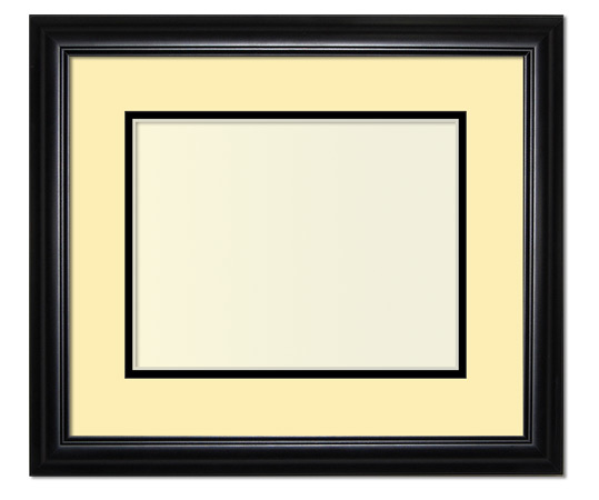 The Eggleston III - UV Plexi - Looking for picture frames worthy of framing your newest Irving Penn photograph? Our contemporary-style picture frames from FrameStoreDirect draw elements from the modernism movement of the mid-20th century. Clean lines and sleek materials are the basis for these fresh, chic, and en vogue frames.