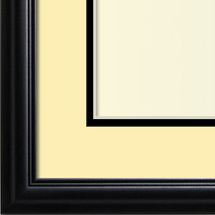 The Eggleston III - Museum Optium Plexi - Looking for picture frames worthy of framing your newest Irving Penn photograph? Our contemporary-style picture frames from FrameStoreDirect draw elements from the modernism movement of the mid-20th century. Clean lines and sleek materials are the basis for these fresh, chic, and en vogue frames.
