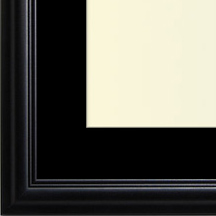 The Eggleston IV - Regular Plexi - Looking for picture frames worthy of framing your newest Irving Penn photograph? Our contemporary-style picture frames from FrameStoreDirect draw elements from the modernism movement of the mid-20th century. Clean lines and sleek materials are the basis for these fresh, chic, and en vogue frames.