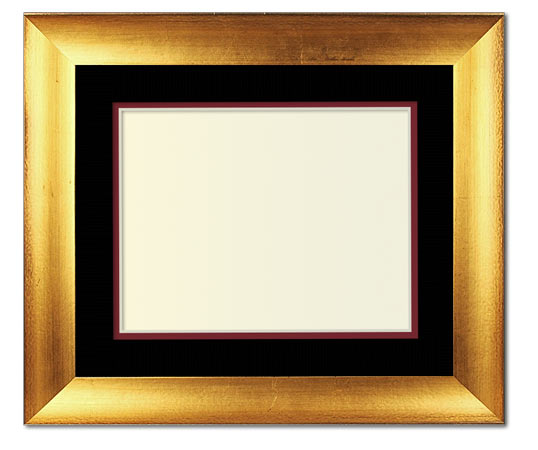 The Jackson III - UV Plexi - Looking for picture frames worthy of framing your newest Irving Penn photograph? Our contemporary-style picture frames from FrameStoreDirect draw elements from the modernism movement of the mid-20th century. Clean lines and sleek materials are the basis for these fresh, chic, and en vogue frames.