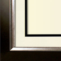 The Penn I - Regular Plexi - Looking for picture frames worthy of framing your newest Irving Penn photograph? Our contemporary-style picture frames from FrameStoreDirect draw elements from the modernism movement of the mid-20th century. Clean lines and sleek materials are the basis for these fresh, chic, and en vogue frames.