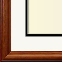 The Raphael III - Museum Optium Plexi - Transitional style is a marriage of traditional and modern finishes, materials and fabrics. The result is an elegant, enduring design that is both comfortable and classic. Through its simple lines, neutral color scheme, and use of light and warmth, transitional style joins the best of both the traditional and modern worlds.