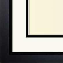 The Winogrand I - UV Plexi - Looking for picture frames worthy of framing your newest Irving Penn photograph? Our contemporary-style picture frames from FrameStoreDirect draw elements from the modernism movement of the mid-20th century. Clean lines and sleek materials are the basis for these fresh, chic, and en vogue frames.