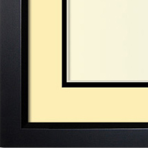 The Winogrand III - Regular Plexi - Looking for picture frames worthy of framing your newest Irving Penn photograph? Our contemporary-style picture frames from FrameStoreDirect draw elements from the modernism movement of the mid-20th century. Clean lines and sleek materials are the basis for these fresh, chic, and en vogue frames.